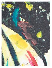 Serigraph PG-S13